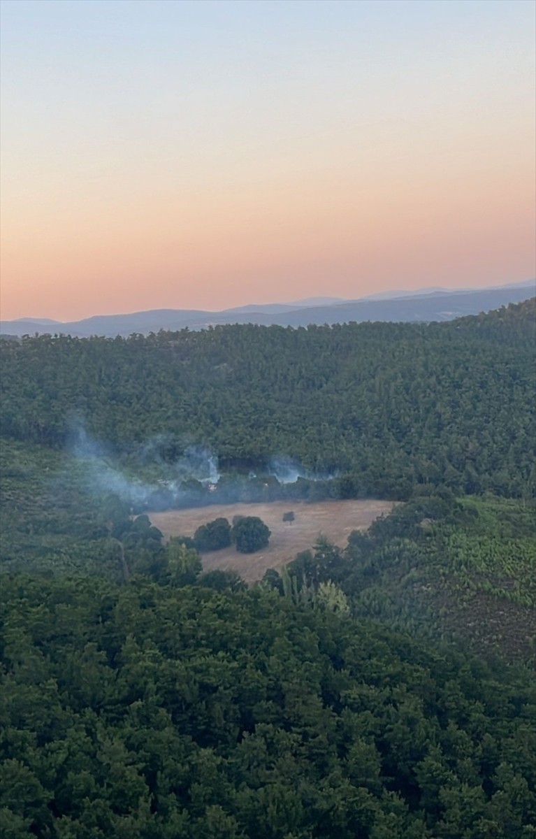 Balıkesir'in İvrindi ilçesinde çıkan orman yangını ekiplerin havadan ve karadan müdahalesiyle...