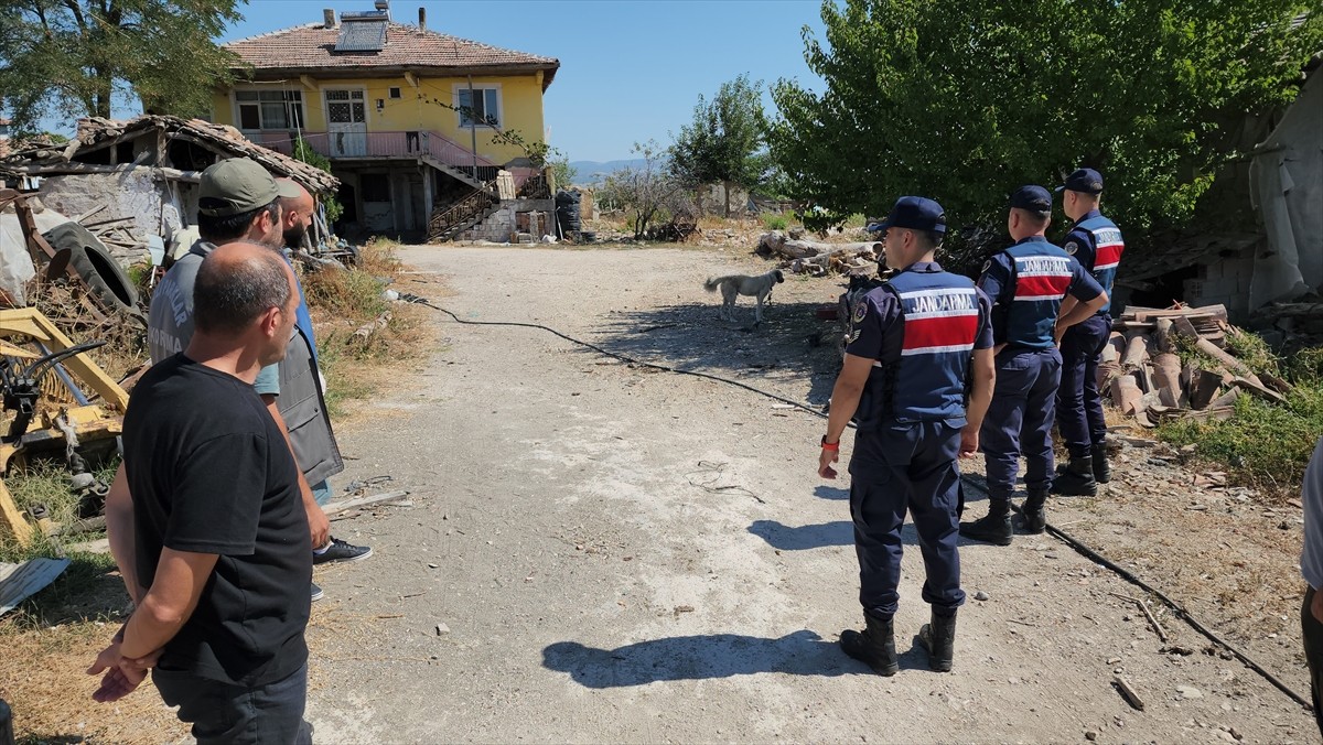 Amasya'nın Suluova ilçesinde, bağlandığı kamyonetin peşinde sürüklenerek götürülen köpek, Doğa...