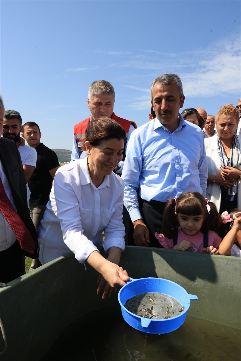 Edirne'nin İpsala ilçesindeki Su Ürünleri Üretim İstasyonu'nda bu yıl yetiştirilen 10 milyon yavru...