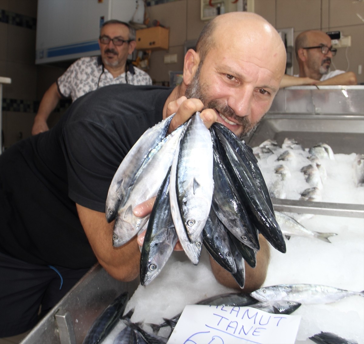 İklim değişikliğine bağlı deniz suyunda yaşanan ısı artışının, balıkların büyüme performansları ve...