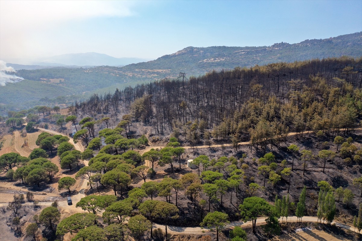 İzmir, Aydın, Manisa ve Uşak'ta ekiplerin aralıksız mücadele ettiği orman yangınları sonrası yeşil...