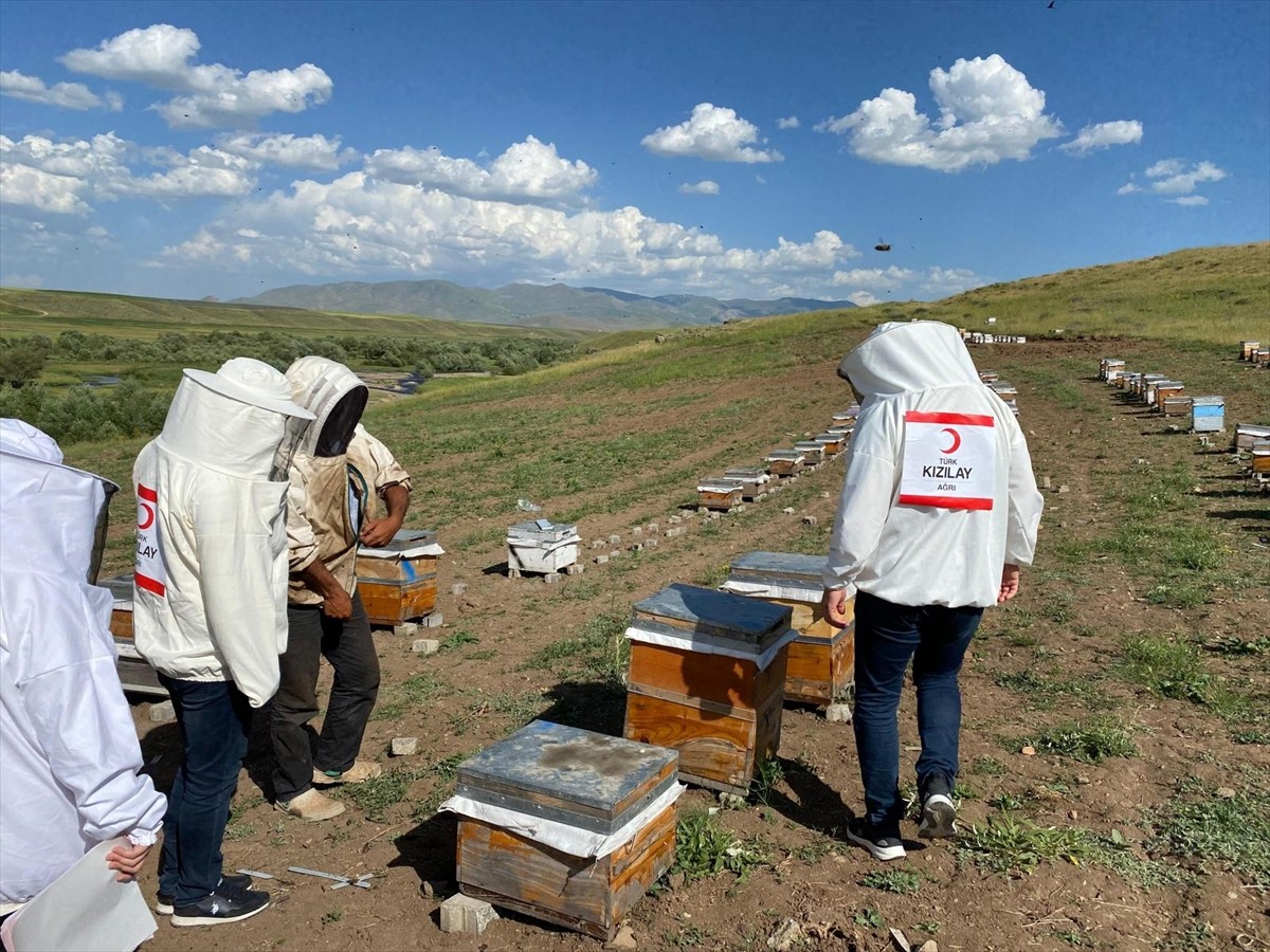 Türk Kızılay Ağrı Şubesi'nin 60 kovanda ürettiği yaklaşık 1,5 tonluk balın, bir kısmı şifa...