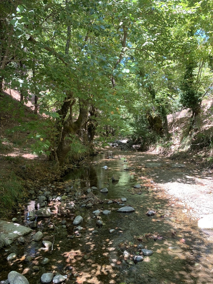  Balıkesir ve Çanakkale il sınırları içinde yer alan Kazdağları'nın Edremit ilçesindeki milli park...