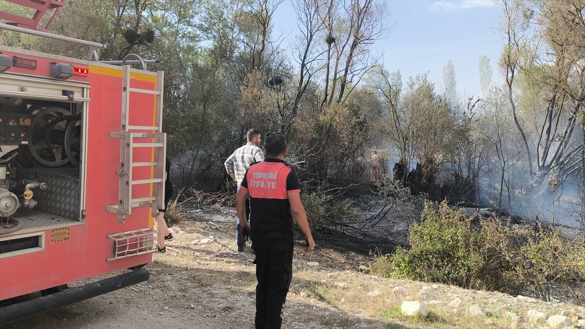 Burdur'un Tefenni ilçesinde otluk alanda çıkan yangın, ormanlık alana sıçramadan...