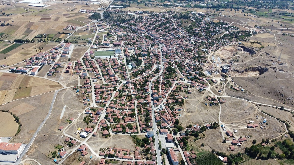 Türkiye'de yalnızca Bilecik'in Pazaryeri ilçesinde üretilen şerbetçi otunun hasadı ilçe genelinde...