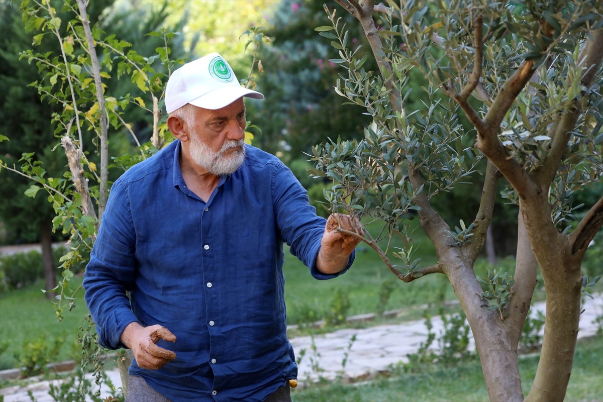 Ankara'da yaşayan ve orman yangınlarına üzülen 66 yaşındaki emekli esnaf Hasan Aydın, gönüllü...