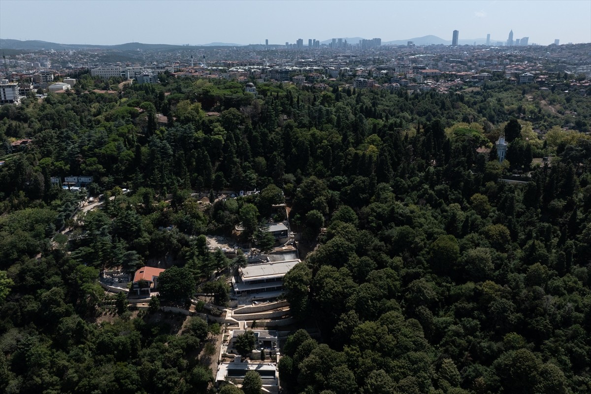 İstanbul Çevre Şehircilik ve İklim Değişikliği İl Müdürlüğü ekipleri, Üsküdar Vaniköy'de Boğaziçi...