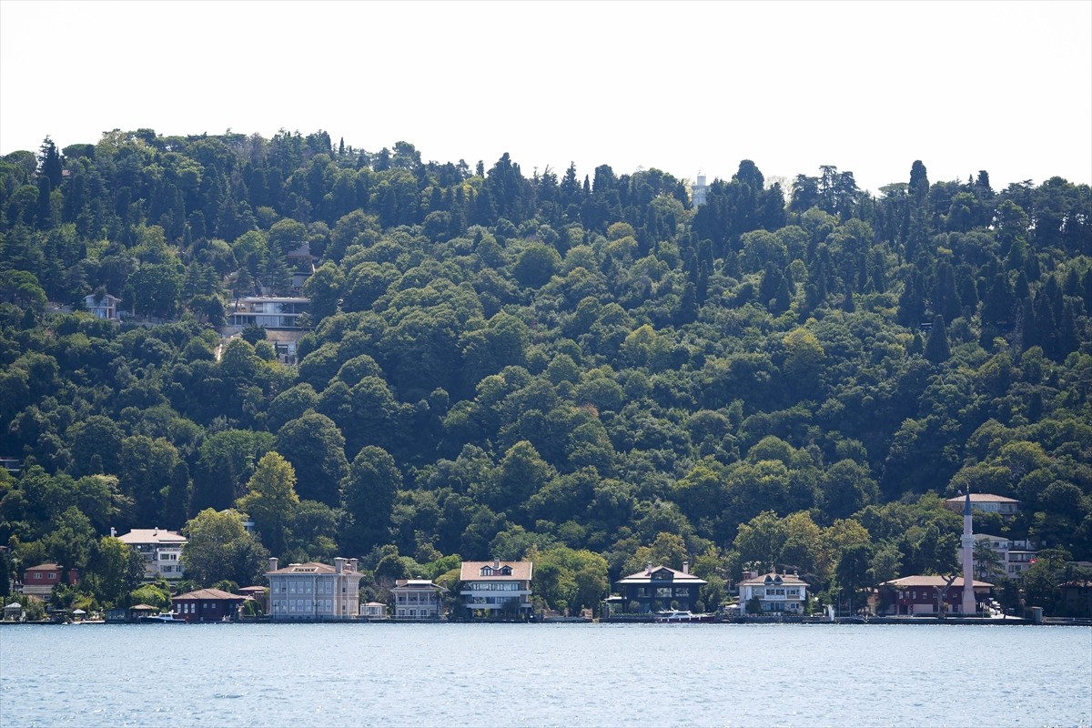 İstanbul Çevre Şehircilik ve İklim Değişikliği İl Müdürlüğü ekipleri, Üsküdar Vaniköy'de Boğaziçi...