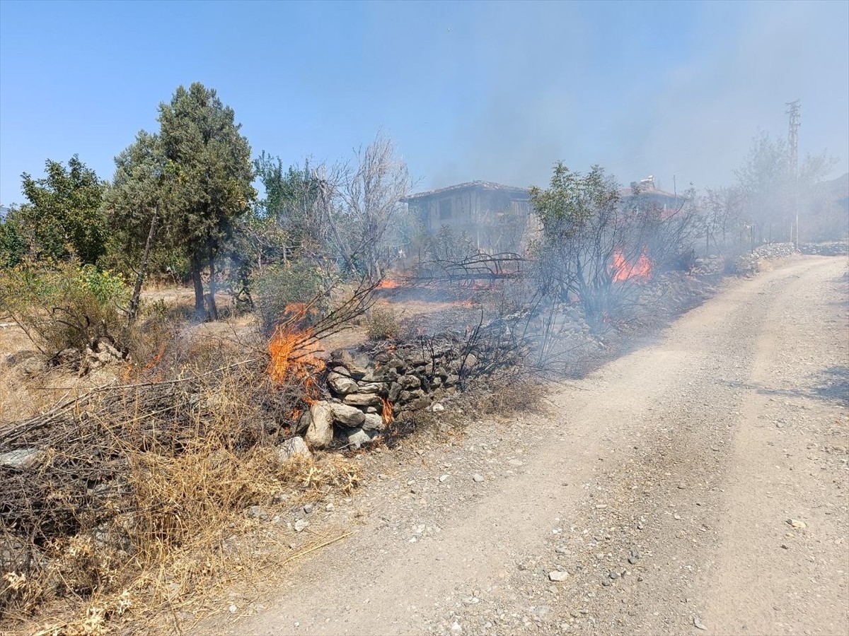 Kastamonu'nun Tosya ilçesinde, anız yangını köye sıçramadan kontrol altına alındı.