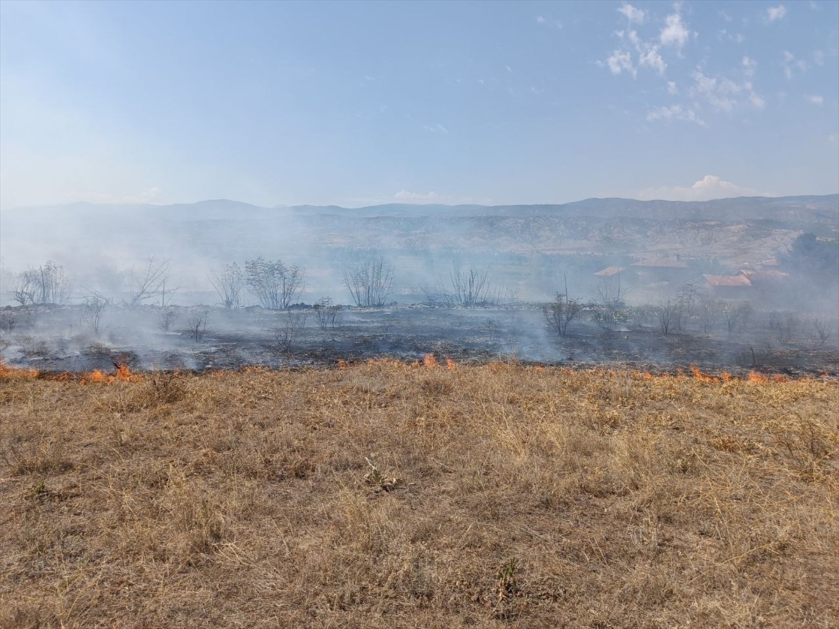 Kastamonu'nun Tosya ilçesinde, anız yangını köye sıçramadan kontrol altına alındı.