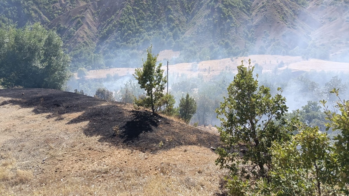 Tunceli'de ormanlık alanda çıkan yangının söndürülmesi için çalışma başlatıldı.