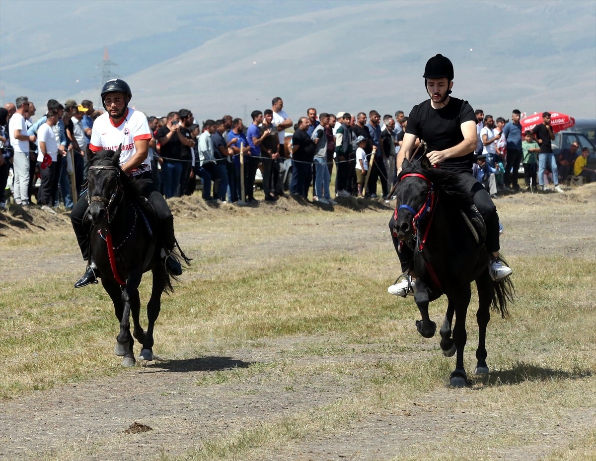 Ardahan'da Geleneksel Atlı Spor Dalları Federasyonunca organize edilen, rahvan at kültürünü...