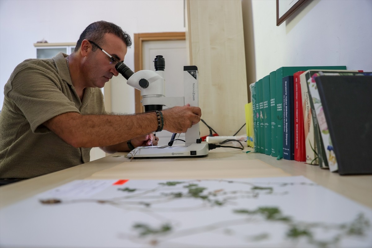 Ege Üniversitesi Botanik Bahçesi ile Herbaryum Uygulama ve Araştırma Merkezi Müdürü Prof. Dr....