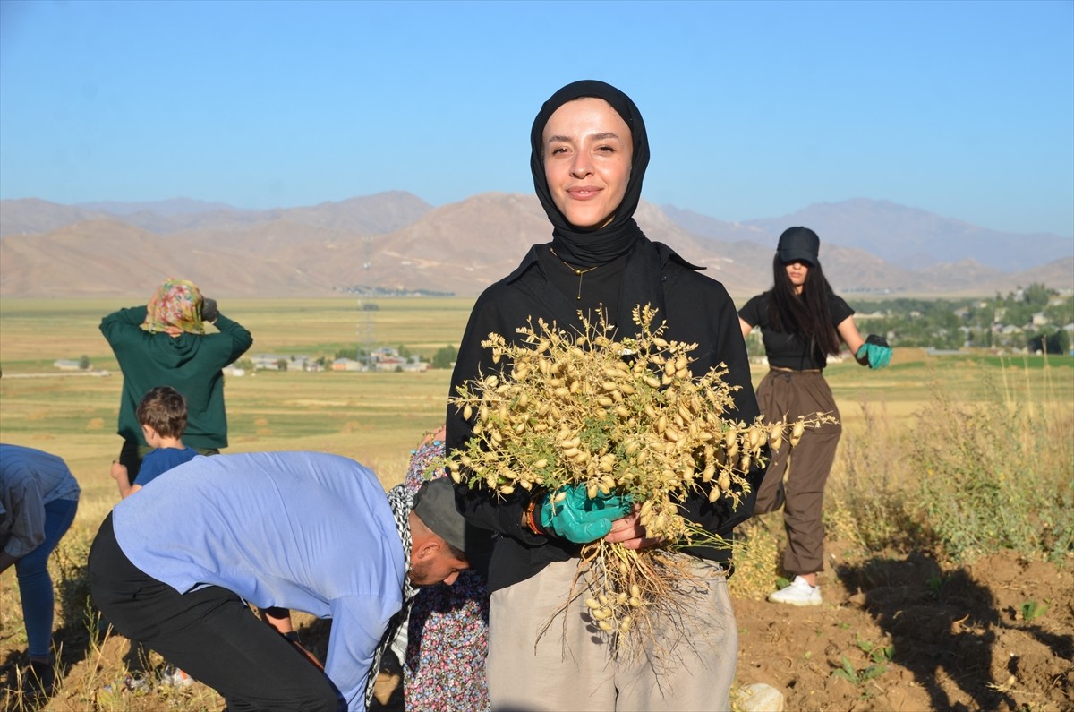 Hakkari'nin Yüksekova ilçesinde DEMETER Tarımsal Kalkınma ve Kadın Kooperatifi üyeleri, ekimini...