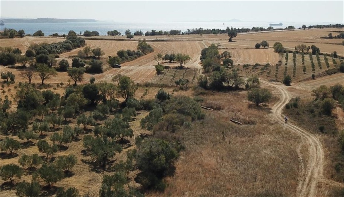 Kültür ve Turizm Bakanlığı Çanakkale Savaşları ve Gelibolu Tarihi Alan Başkanlığınca başlatılan...