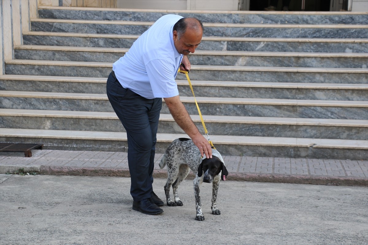 Samsun'un Salıpazarı ilçesinde Belediye Başkanı Refaettin Karaca, örnek oluşturmak için hasta...