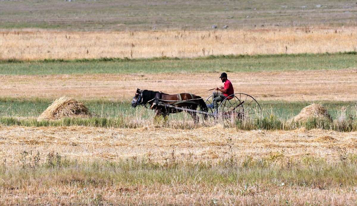 Kars İl Tarım ve Orman Müdürü Enver Aydın, kentte işlenmeyen tarım arazilerinin, oluşturulacak...