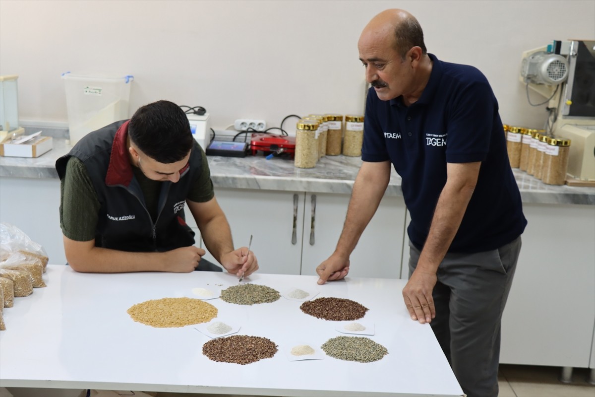 Türkiye'de tahıl üretiminin en fazla yapıldığı kentlerin başında gelen Şanlıurfa'da, Güneydoğu...