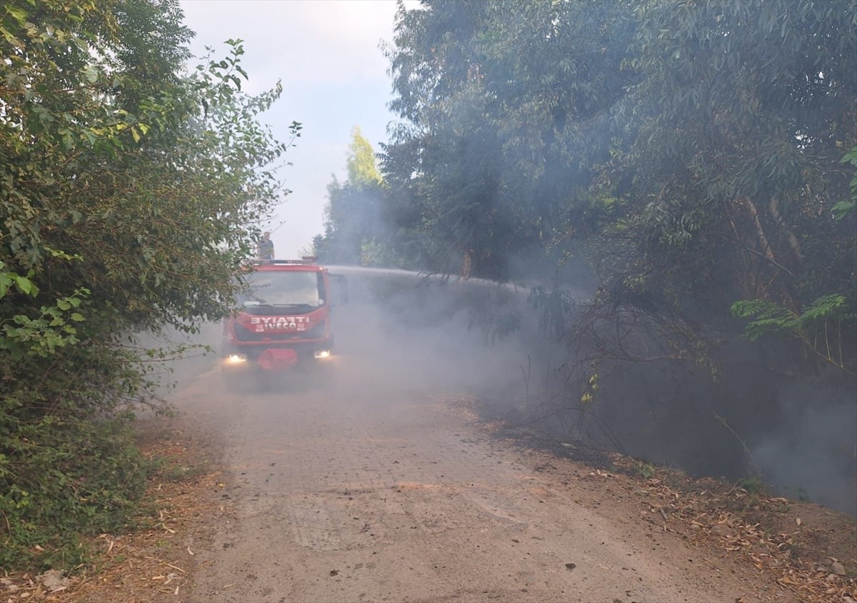 Osmaniye'nin Kadirli ilçesinde çıkan orman yangını kontrol altına alındı.  