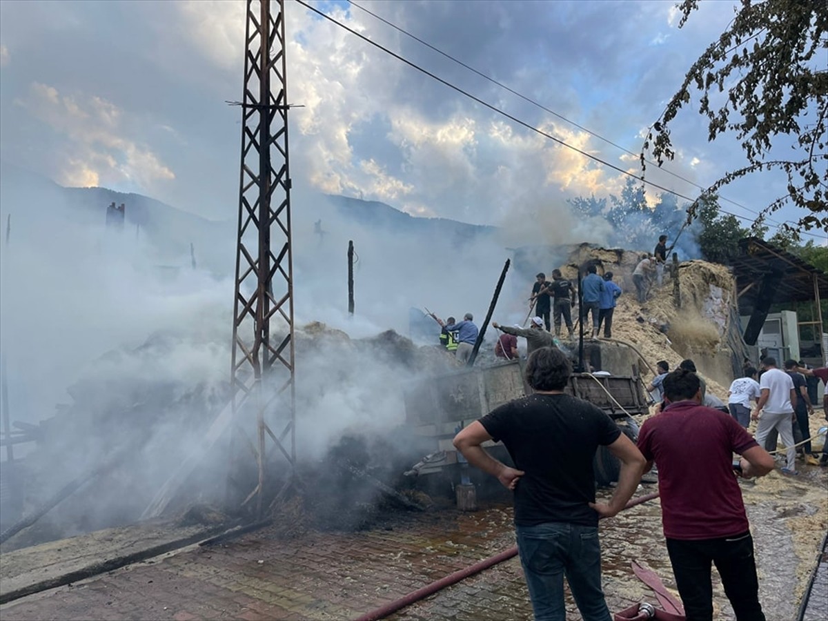 Erzurum'un Tortum ilçesinde çıkan yangında ev, ahır ve samanlık kullanılamaz hale geldi.