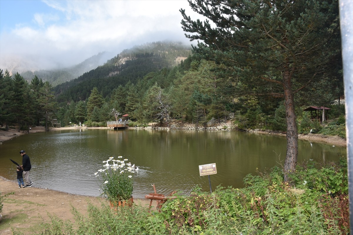 Gümüşhane'nin Torul ilçesindeki turizm merkezlerinden Limni Gölü Tabiat Parkı, yerli ve yabancı...