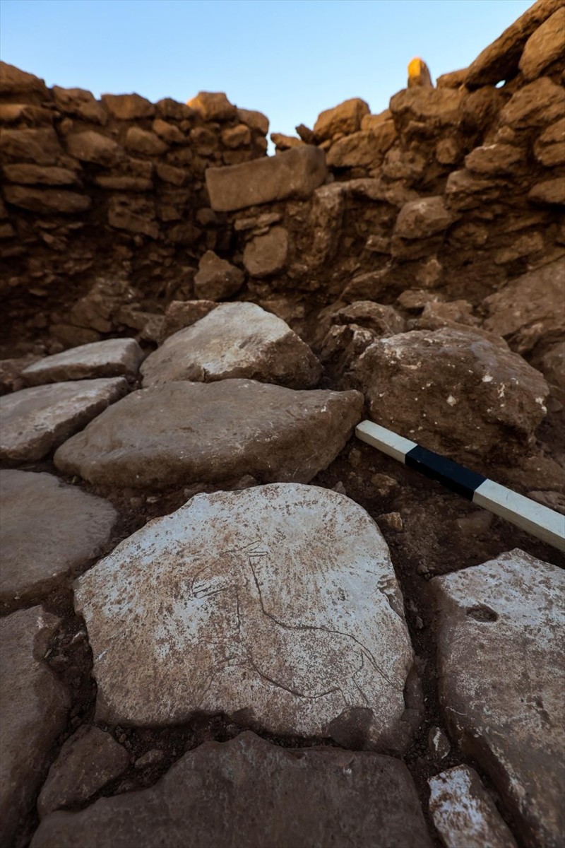 Kültür ve Turizm Bakanı Mehmet Nuri Ersoy, Şanlıurfa Karahantepe'deki bir kulübenin tabanında...