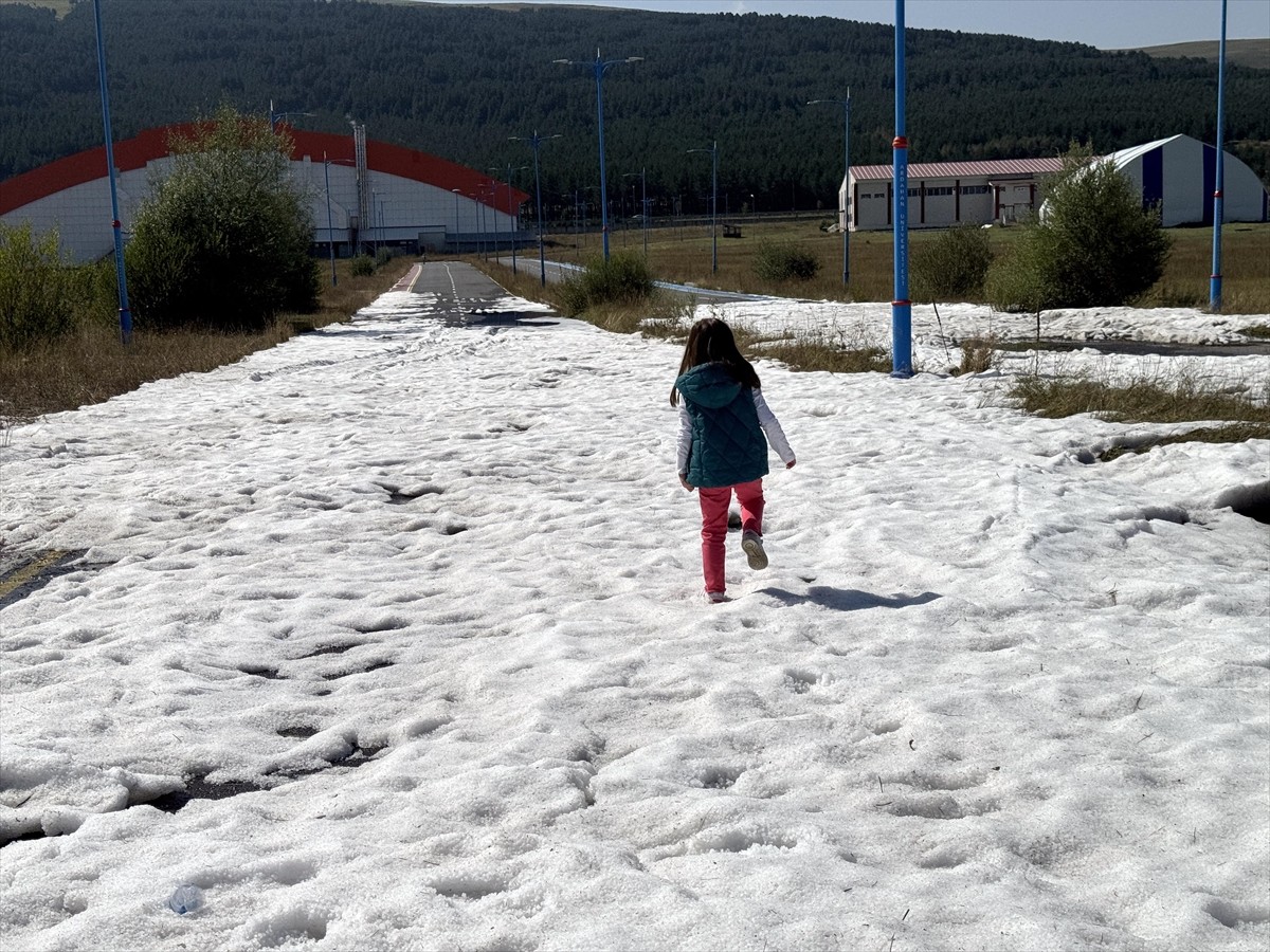 Ardahan'da il genelinde akşam başlayan sağanak, gece ve sabaha doğru yerini şiddetli doluya...