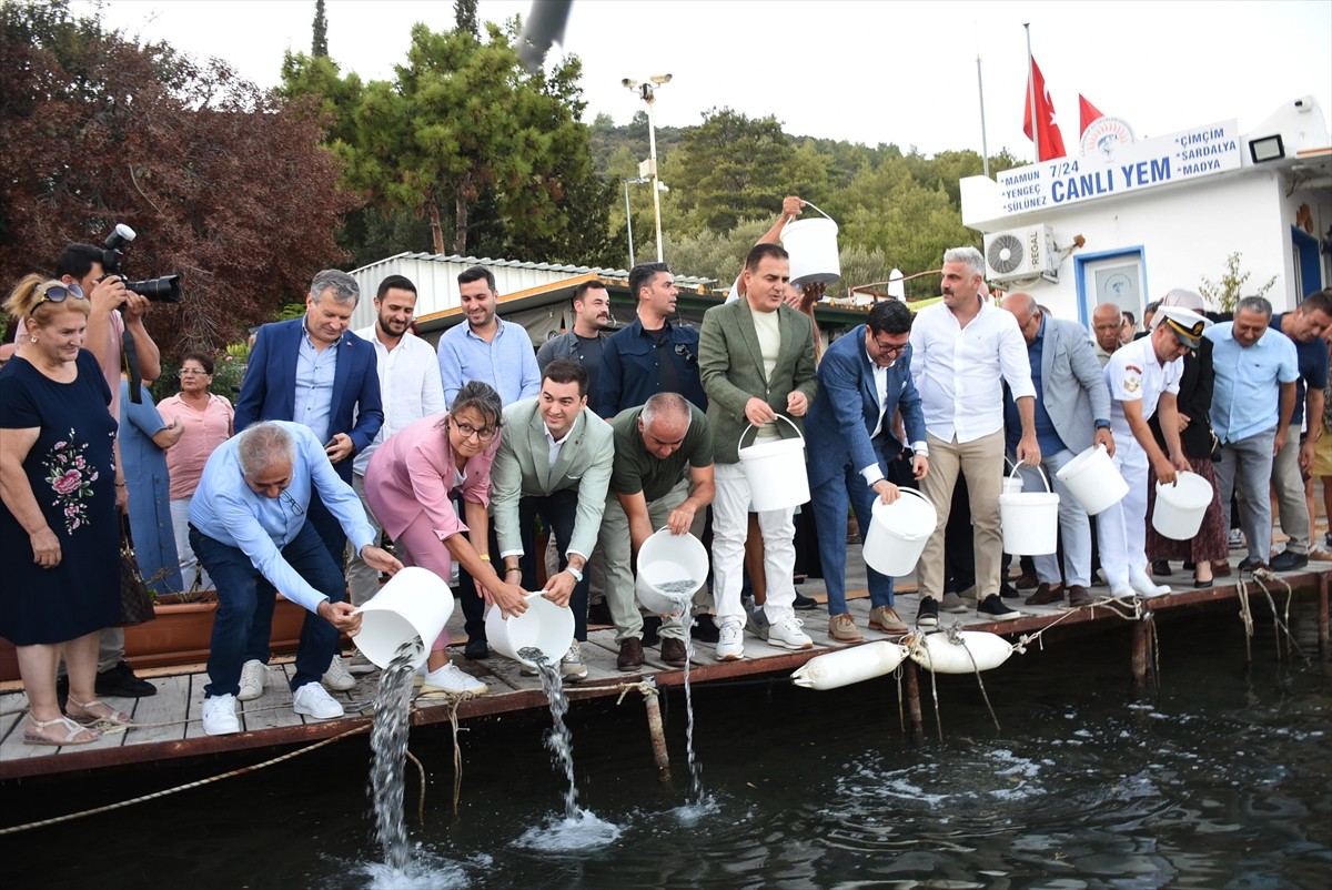 Muğla'nın Bodrum ilçesinde, denizlerde avlanma yasağının 1 Eylül'de sona erecek olması nedeniyle...