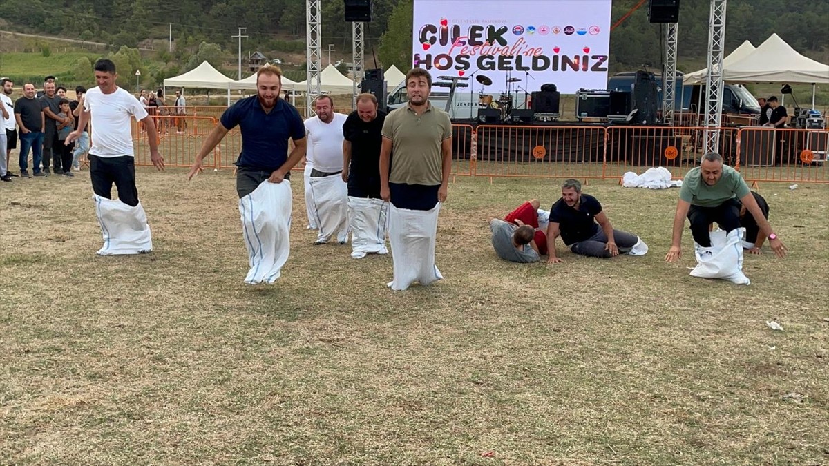 Sakarya'nın Pamukova ilçesinde Çilek Festivali gerçekleştirildi. Çilekli Mahallesi'ndeki...