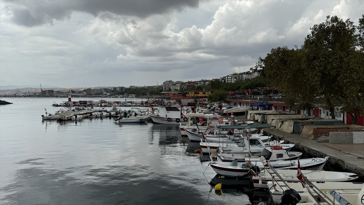 Tekirdağ'da av yasağının sona ermesiyle denize açılan balıkçılar, Marmara Denizi'nde etkili olan...