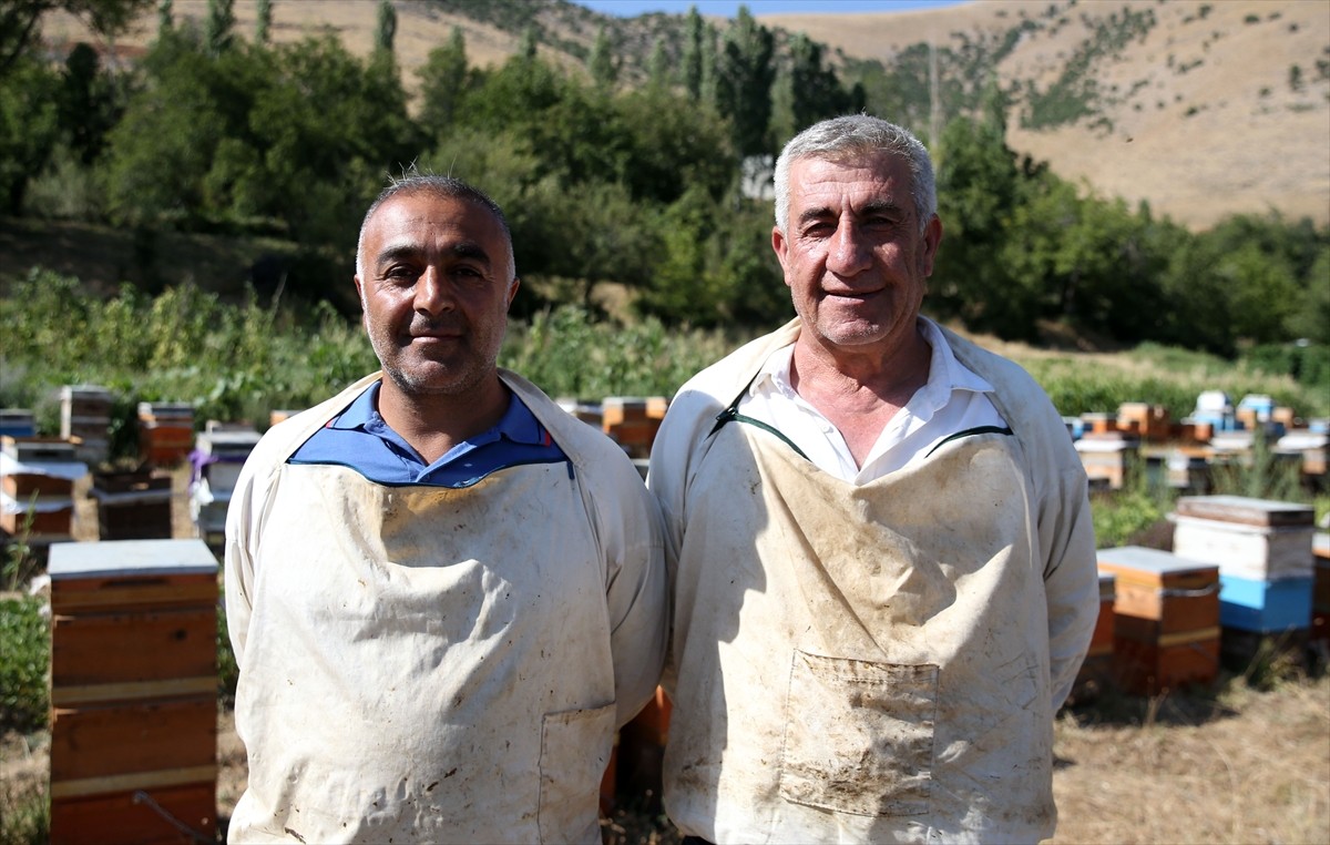 Bitlis'in Hizan ilçesinde 3 bin rakımlı yaylalarda bal hasadına başlayan arıcılar, bitki...