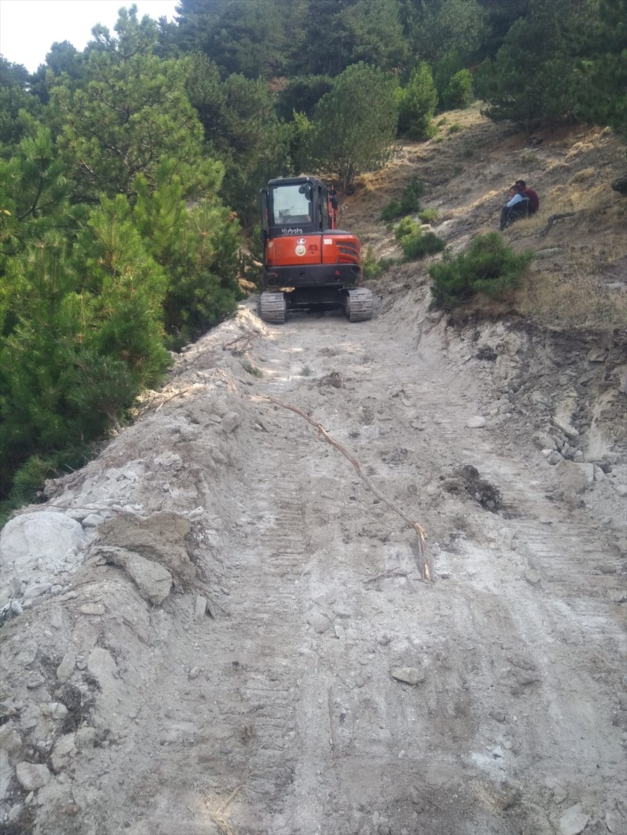 Afyonkarahisar'da yaylada eğimli arazide yuvarlanan bir inek, 1,5 kilometrelik yol açılarak...