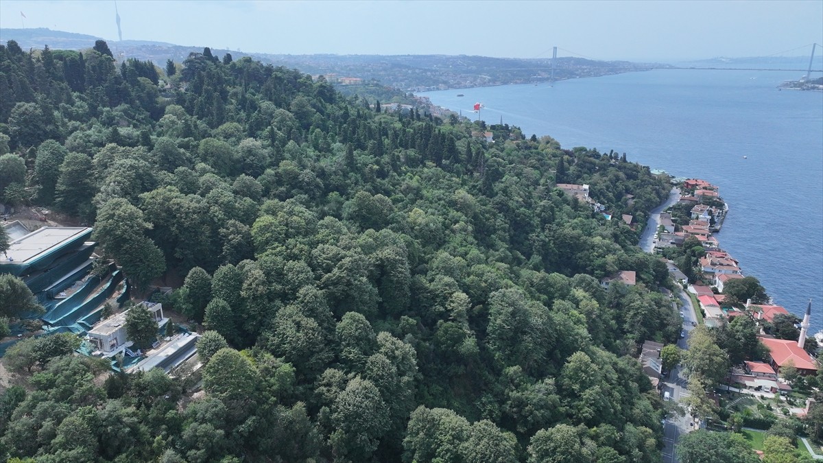 Üsküdar Vaniköy'de Boğaziçi Öngörünüm Bölgesi'nde izinsiz inşa faaliyetlerinin gerçekleştirildiği...