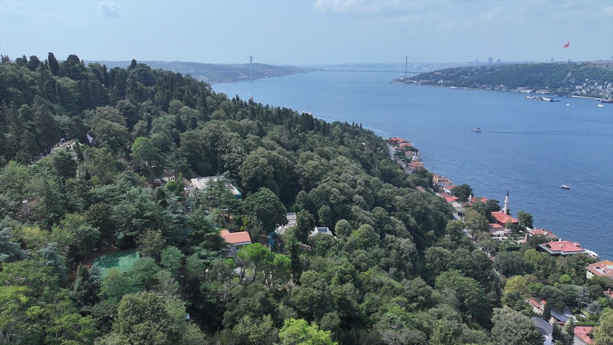 Üsküdar Vaniköy'de Boğaziçi Öngörünüm Bölgesi'nde izinsiz inşa faaliyetlerinin gerçekleştirildiği...