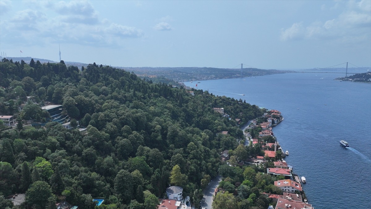 Üsküdar Vaniköy'de Boğaziçi Öngörünüm Bölgesi'nde izinsiz inşa faaliyetlerinin gerçekleştirildiği...