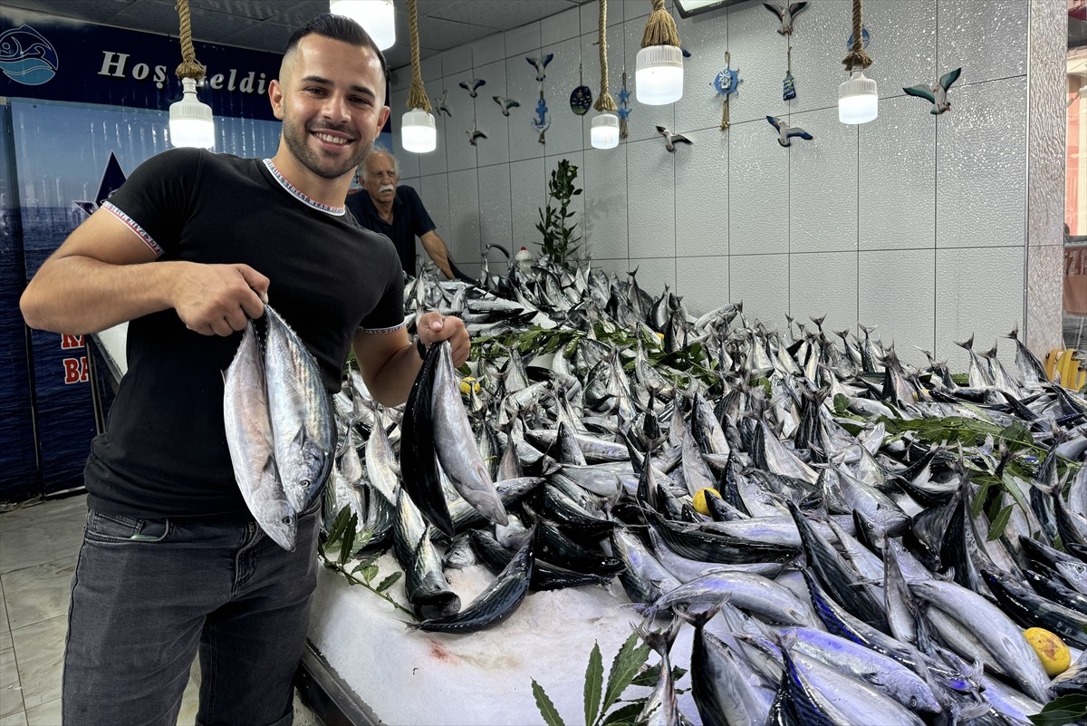 Denizlerde 1 Eylül'de başlayan balık avı sezonunun ilk günlerinde tezgahlar palamutla dolup...