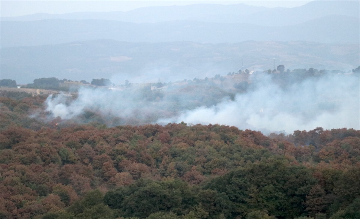 Kocaeli'nin Karamürsel ilçesinde çıkan orman yangını, ekiplerin müdahalesiyle kontrol altına...