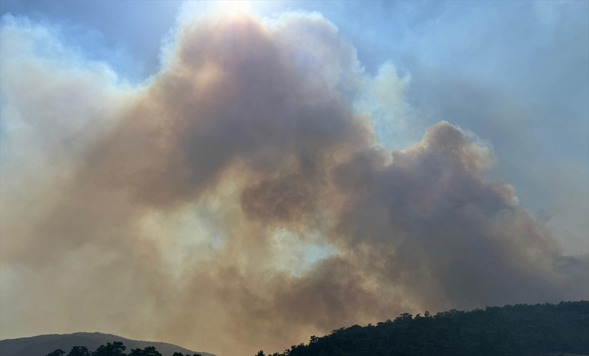 Muğla'nın Menteşe ilçesinde ormanlık alanda çıkan yangına havadan ve karadan müdahale...