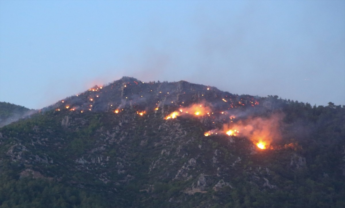 Muğla'nın Milas ilçesinde ormanlık alanda çıkan yangın söndürülmeye çalışılıyor.