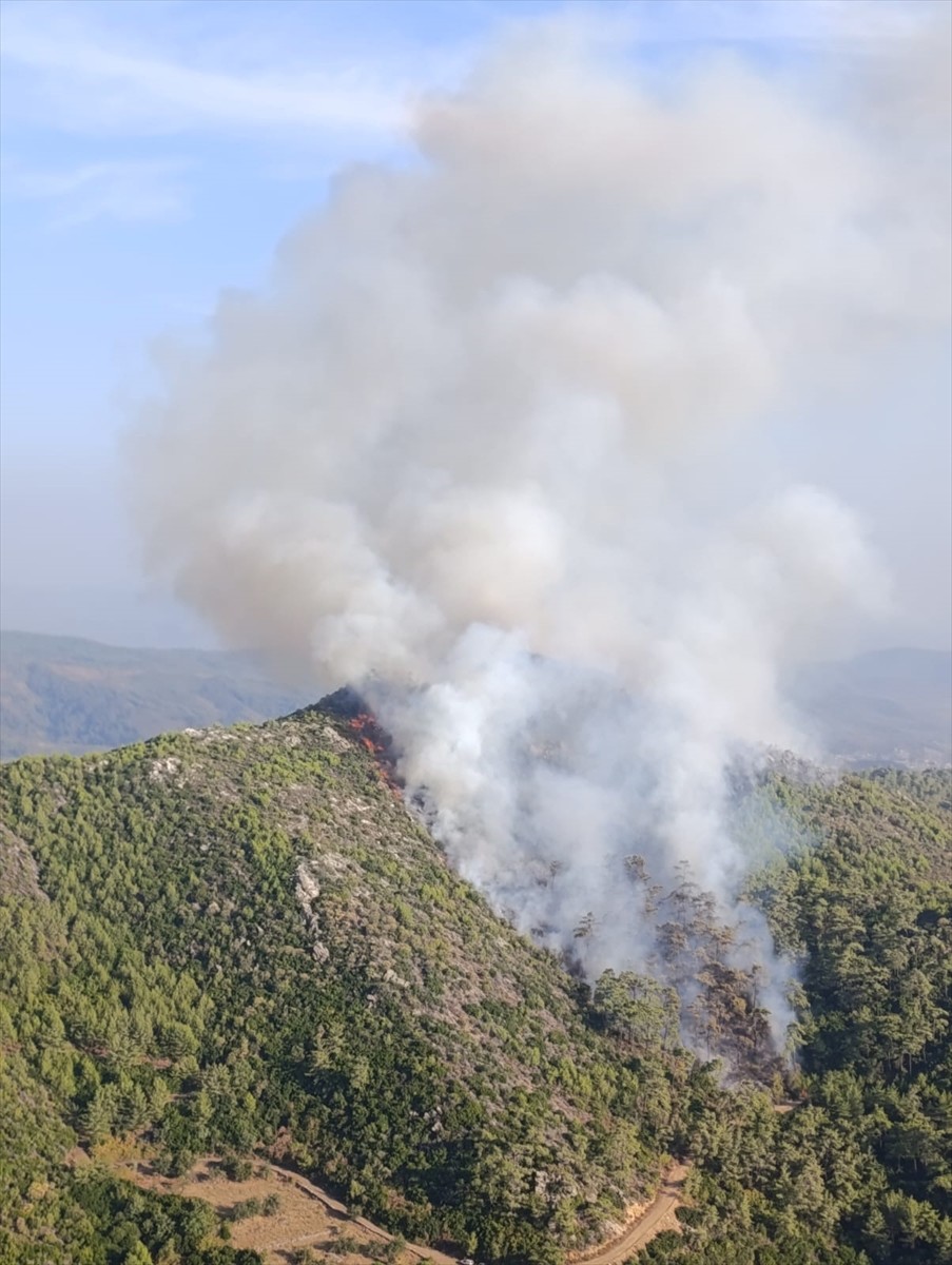 Muğla'nın Milas ilçesinde ormanlık alanda çıkan yangın söndürülmeye çalışılıyor.