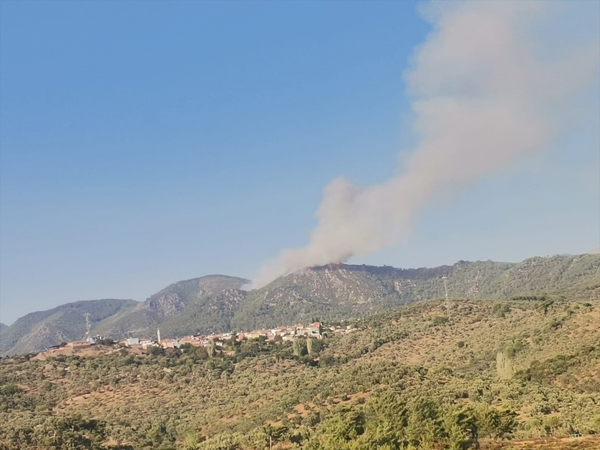 Muğla'nın Milas ilçesinde ormanlık alanda çıkan yangın söndürülmeye çalışılıyor.