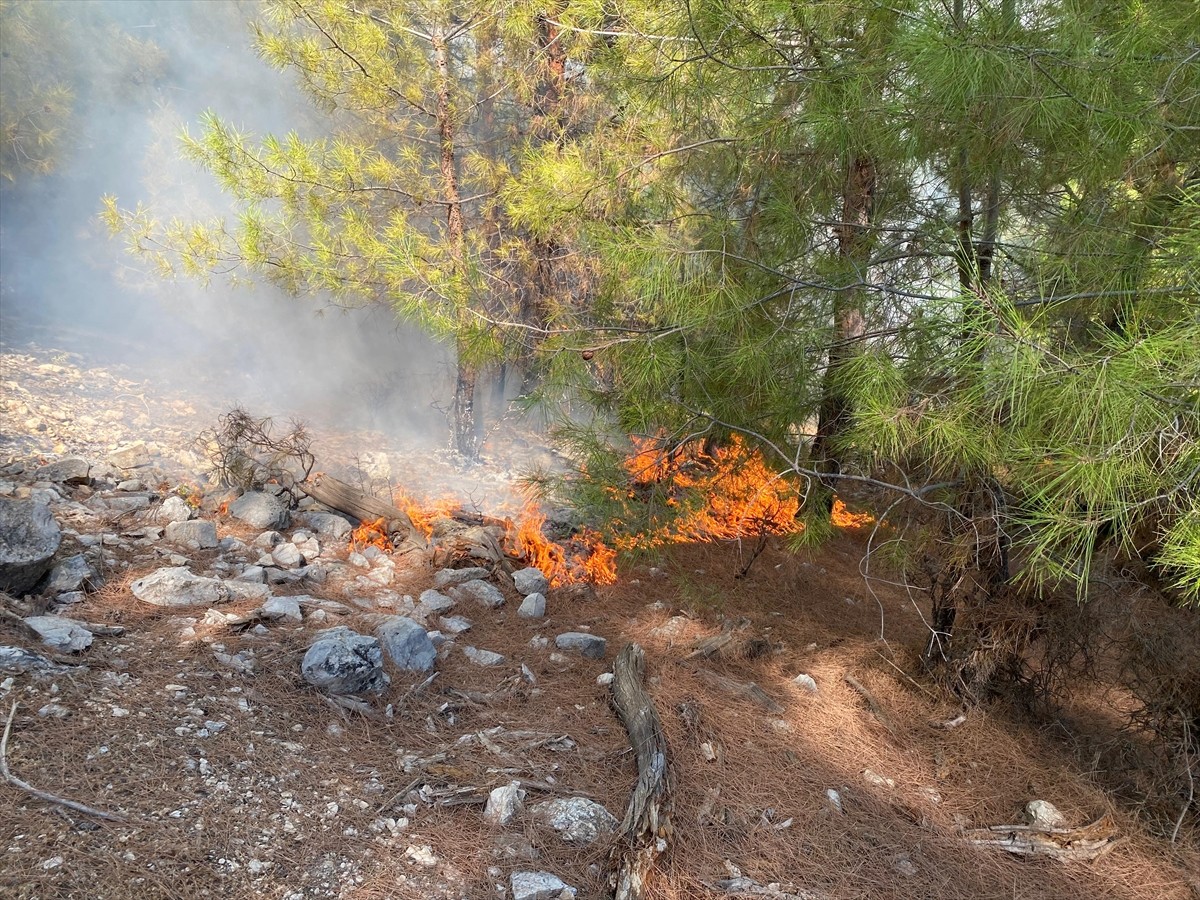 Antalya'nın Kaş ilçesi Çataloluk Mahallesi'ndeki ormanlık alanda henüz belirlenemeyen nedenle...