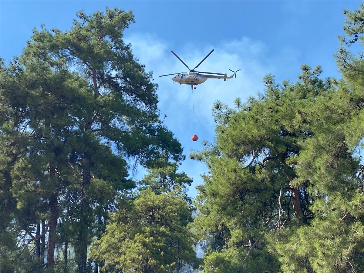 Antalya'nın Kaş ilçesi Çataloluk Mahallesi'ndeki ormanlık alanda henüz belirlenemeyen nedenle...