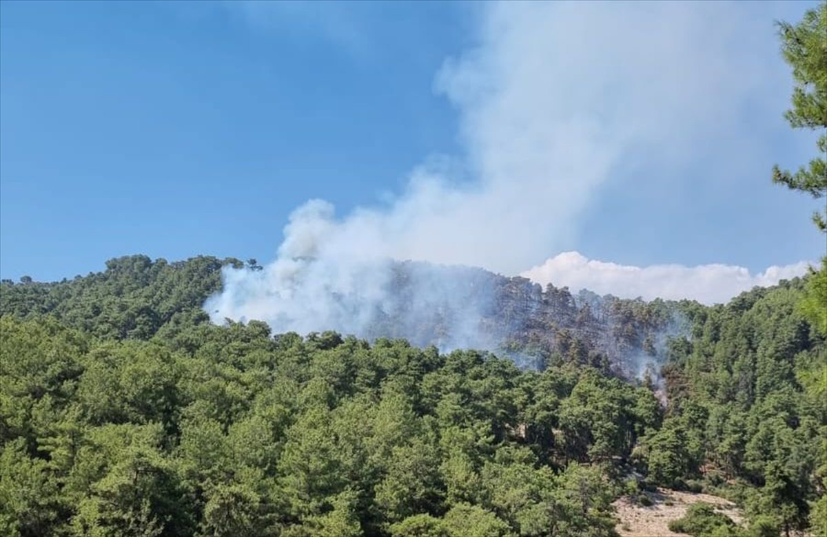 Antalya'nın Kaş ilçesi Çataloluk Mahallesi'ndeki ormanlık alanda henüz belirlenemeyen nedenle...