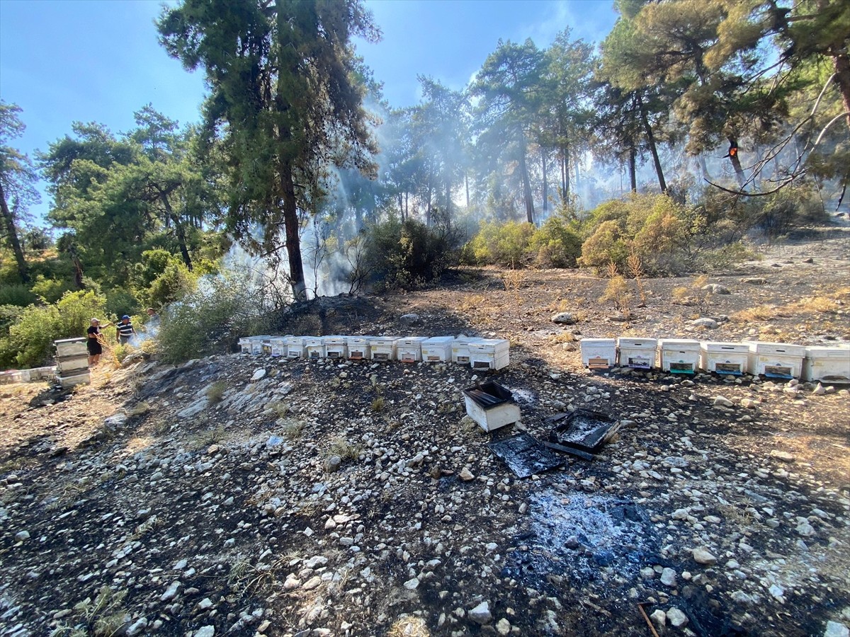 Antalya'nın Kaş ilçesi Çataloluk Mahallesi'ndeki ormanlık alanda henüz belirlenemeyen nedenle...