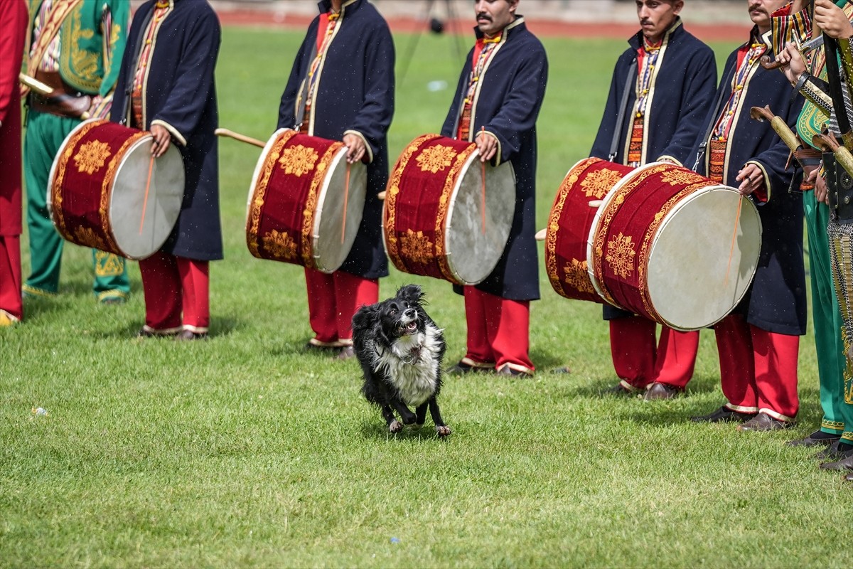 Bilecik'in Söğüt ilçesinde, 743. Söğüt Ertuğrul Gazi'yi Anma ve Yörük Şenlikleri gerçekleştirildi....