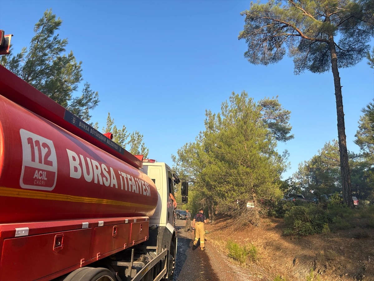 Bursa'nın Büyükorhan ve Balıkesir'in Dursunbey ilçeleri arasındaki ormanlık alanda çıkan yangın...