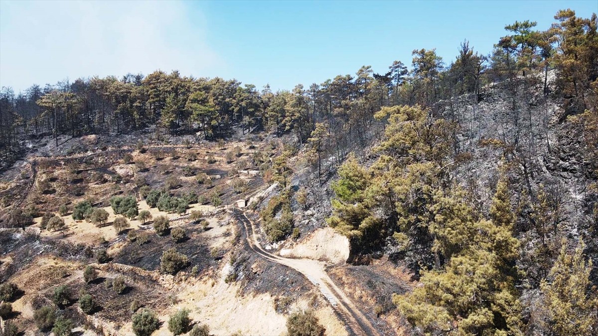 Muğla'nın Menteşe ilçesinde 2 gün önce ormanlık alanda çıkan yangına müdahale havadan ve karadan...