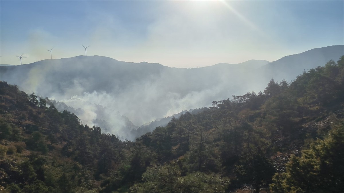 Hatay'ın Antakya ilçesinde ormanlık alanda çıkan yangın, havadan ve karadan müdahaleyle kontrol...