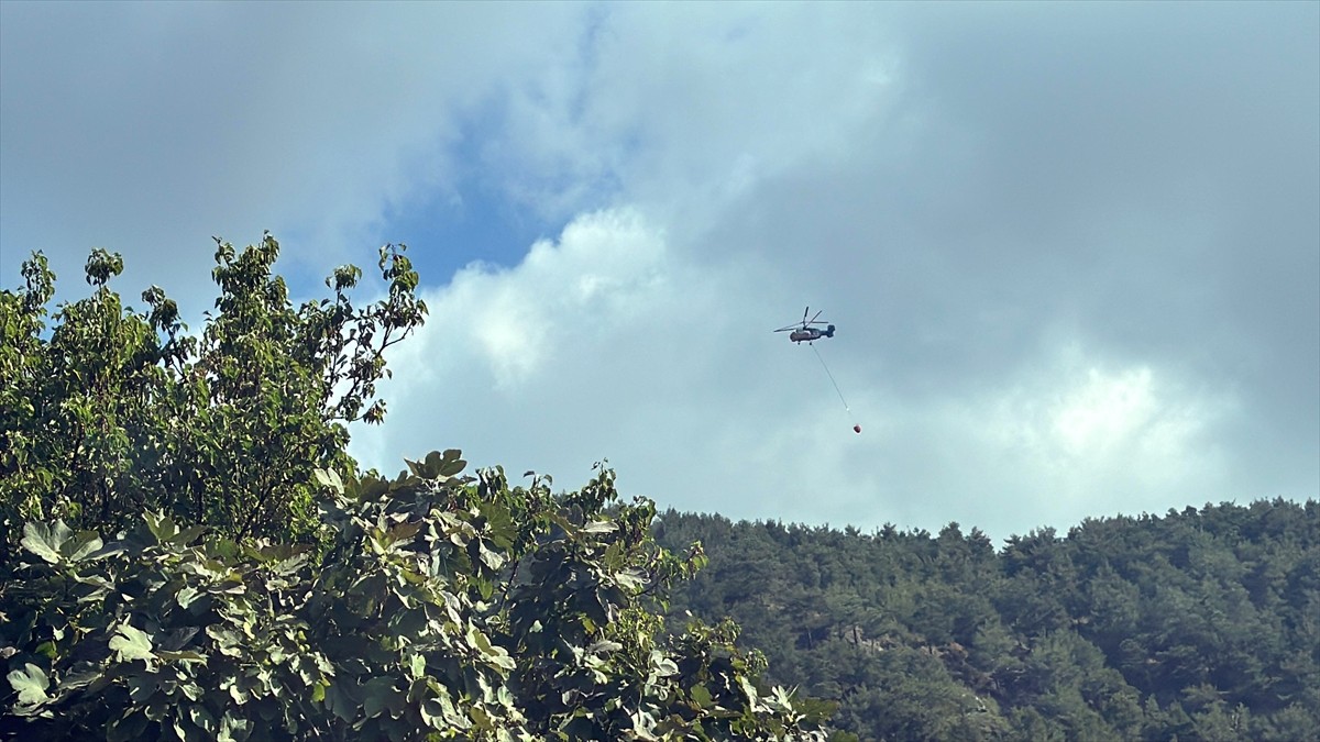 Hatay'ın Antakya ilçesinde, ormanlık alanda henüz belirlenemeyen nedenle çıkan yangın, havadan ve...